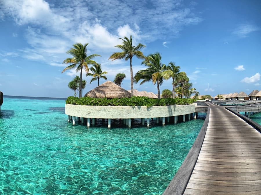 Coco Bodu Hithi