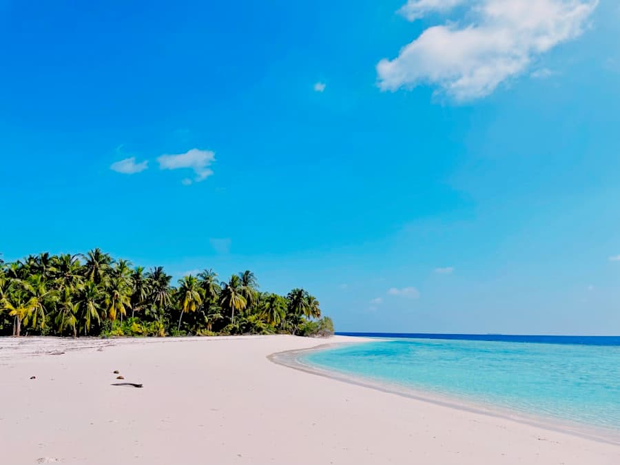 Joy Island